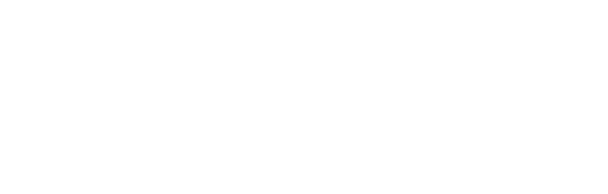 The Fitness Zone logo